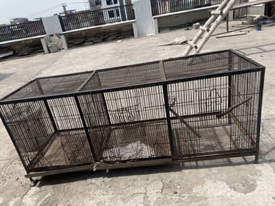 Cockatiel budgie cage for sale