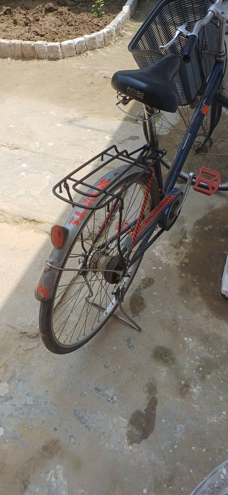 CYCLE 6