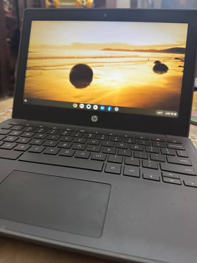 Brand new Hp chrome book for sell