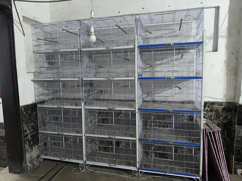 Use cages 10/10 condition — photo 2