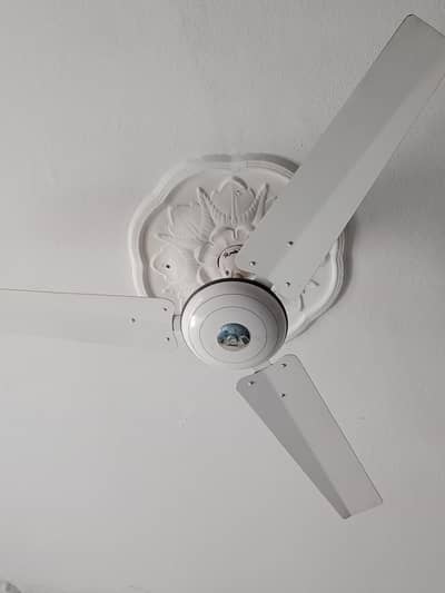 Ceiling Fan for Sale – Excellent Condition | Urgent Sale