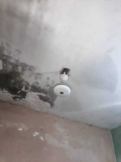 Indus fan 10 by 10 condition Copper and vending original 03244597742
