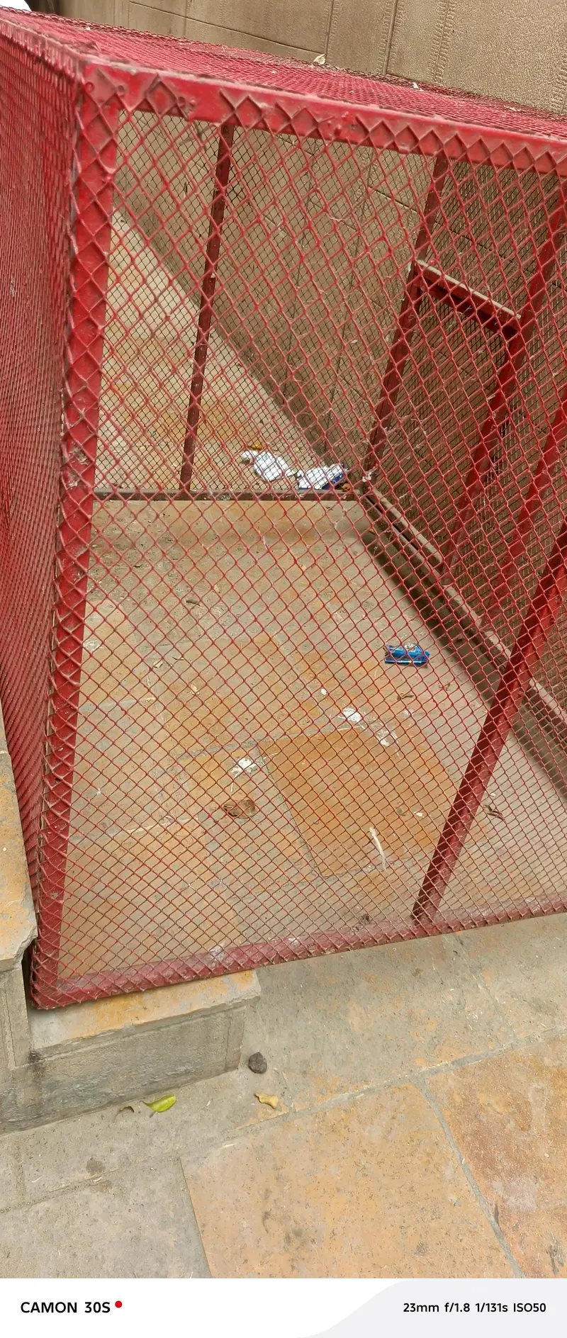4 by 4 ke 2 cage — photo 2