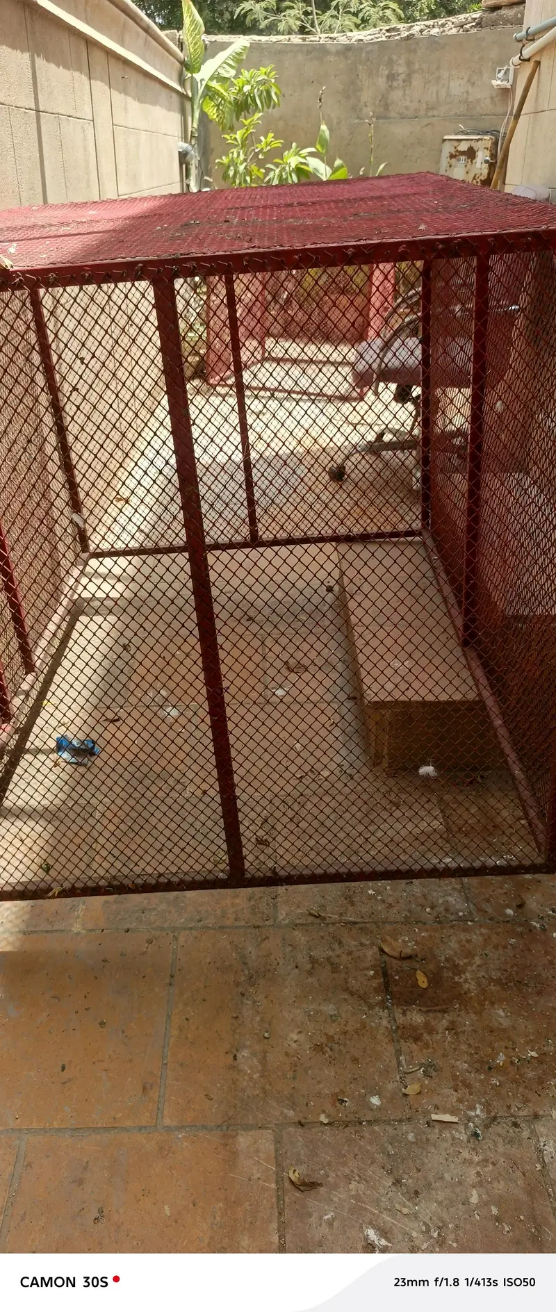 4 by 4 ke 2 cage — photo 4