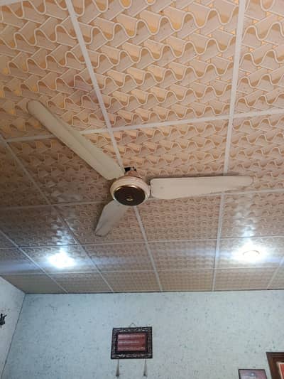ceiling fan