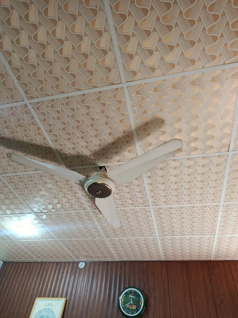 ceiling fan 1