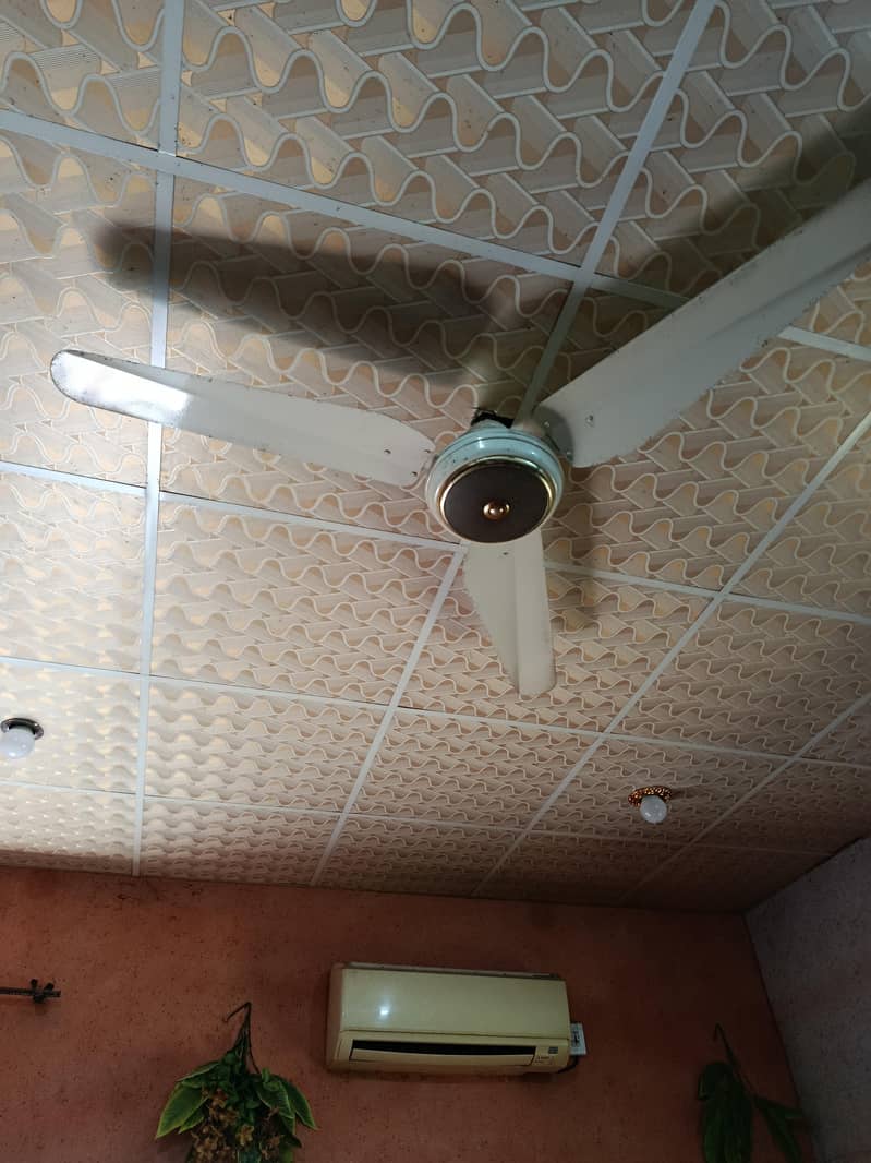 ceiling fan 2