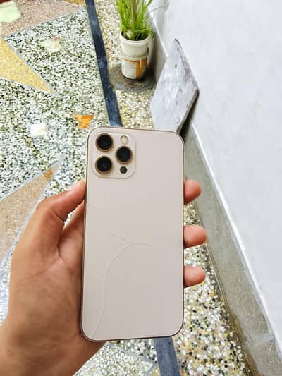 Apple iPhone 12 Pro Max in Chance
