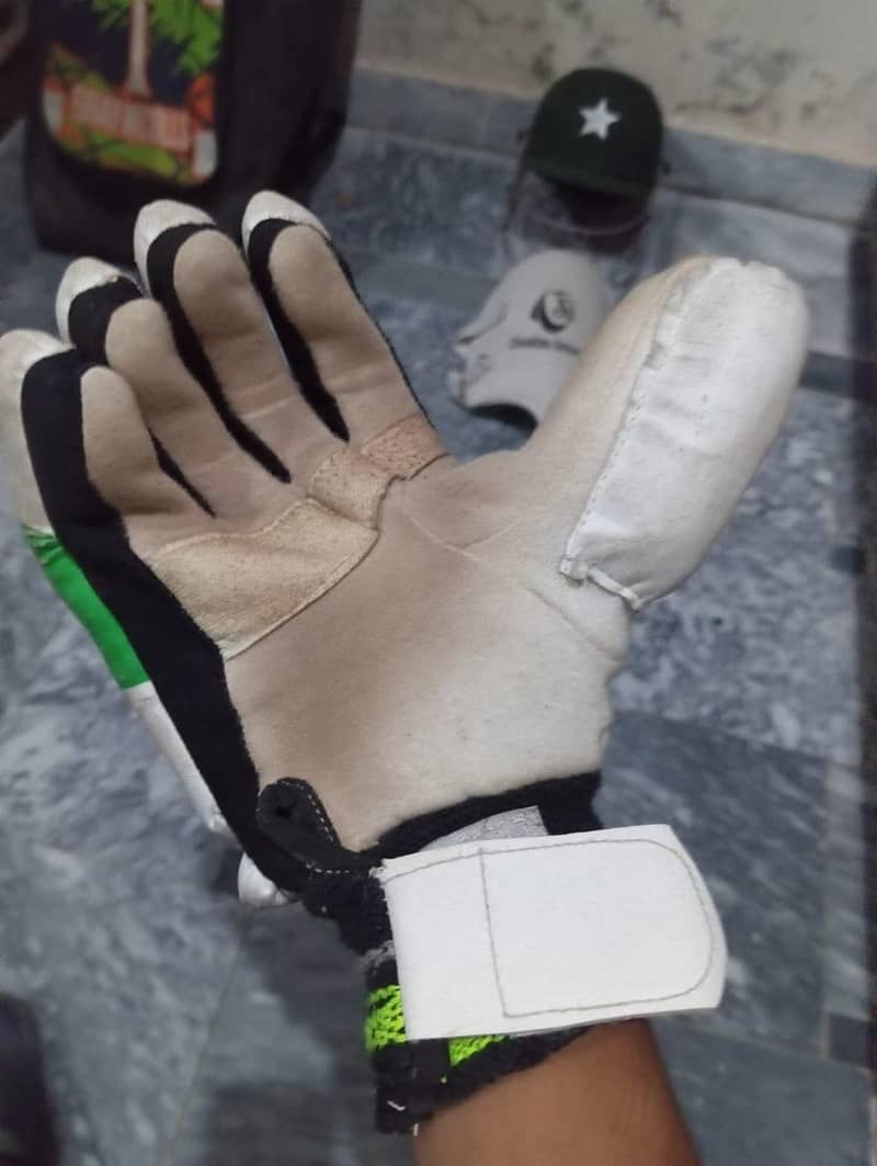 cricket kit 10