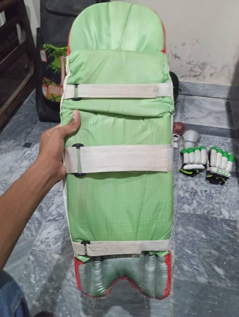 cricket kit 12