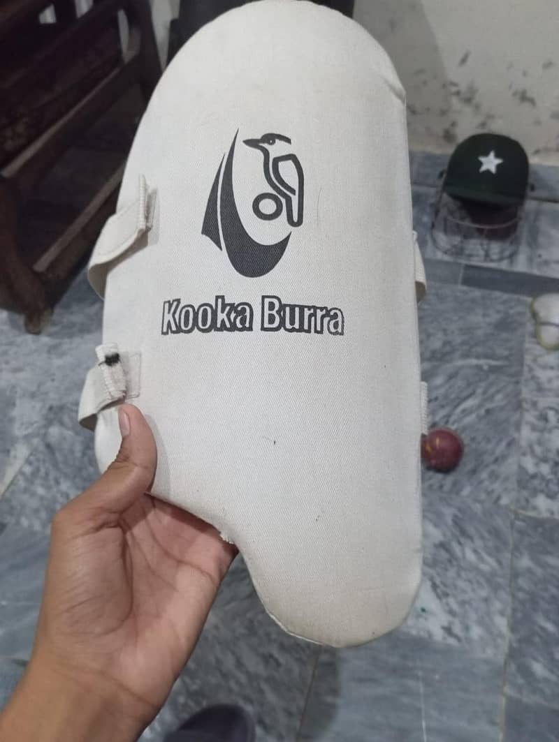 cricket kit 13