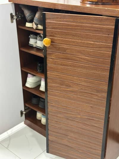 2 doors PORTABLE shoe rack