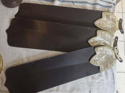 golden and black color