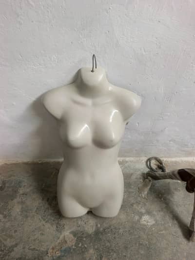 Dummies for Boutique or Shop Complete Bundle offer