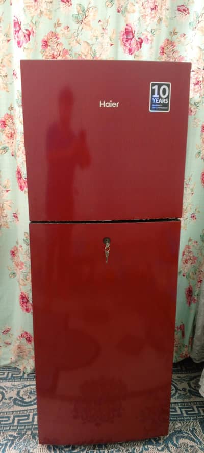 Haier Refrigerator - Excellent Condition - 10/10