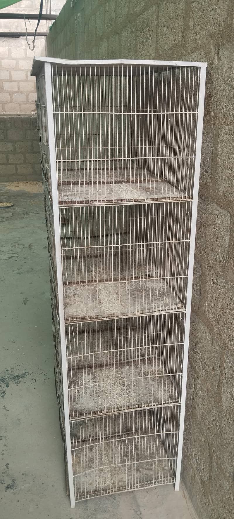 cage 12 portion 1