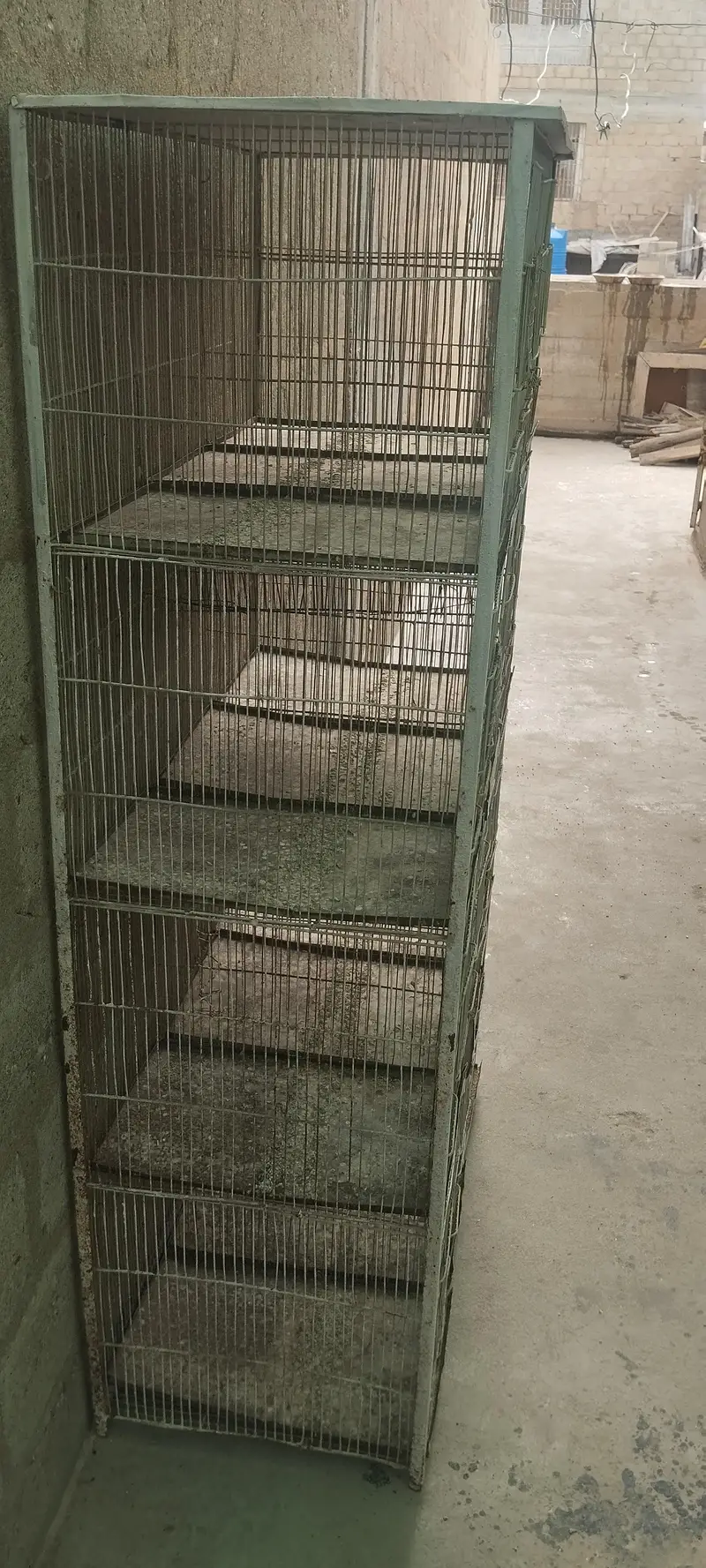 cage 12 portion — photo 3