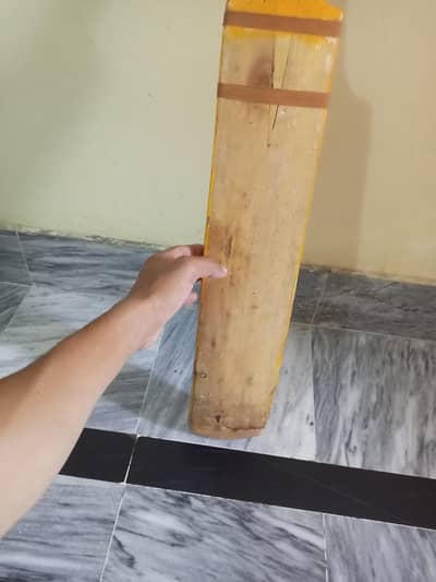 saki original coconut bat
