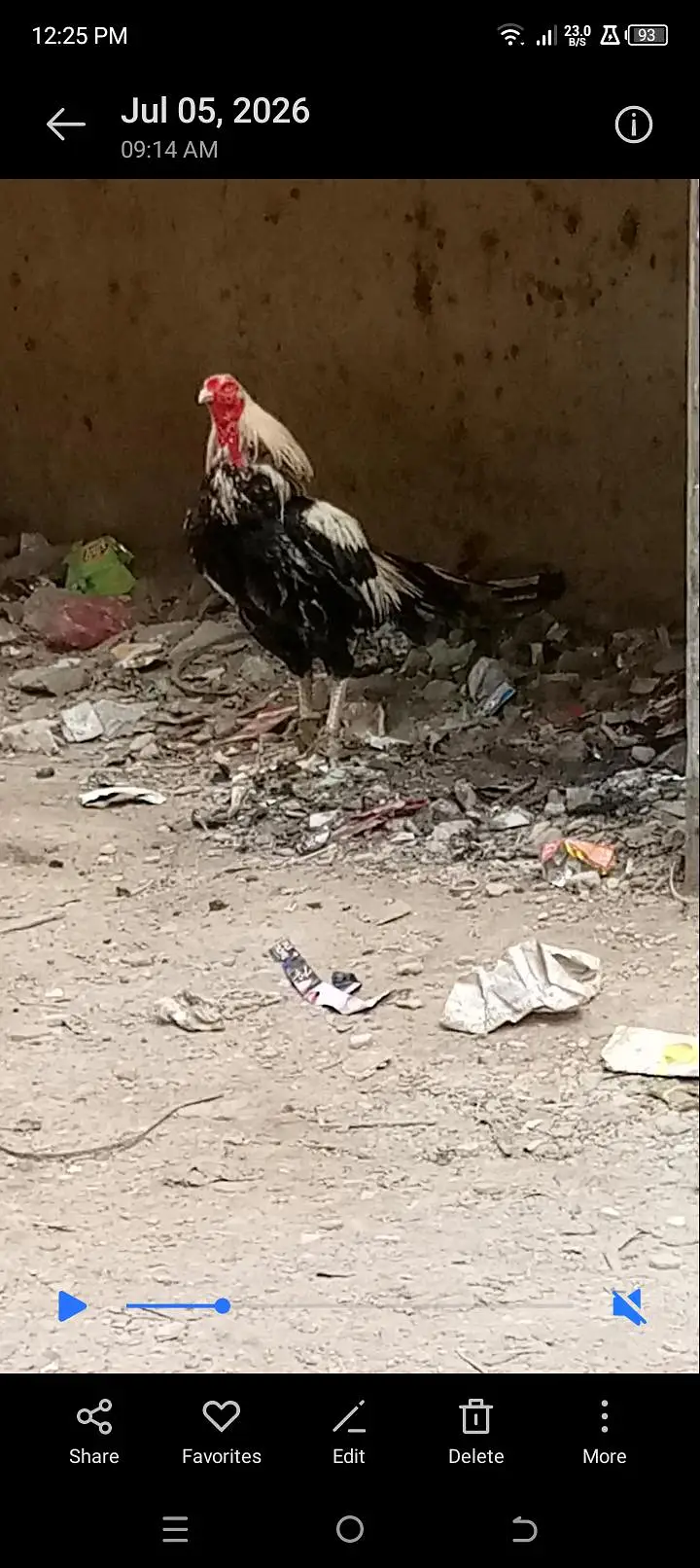 Pura mianwali — photo 2