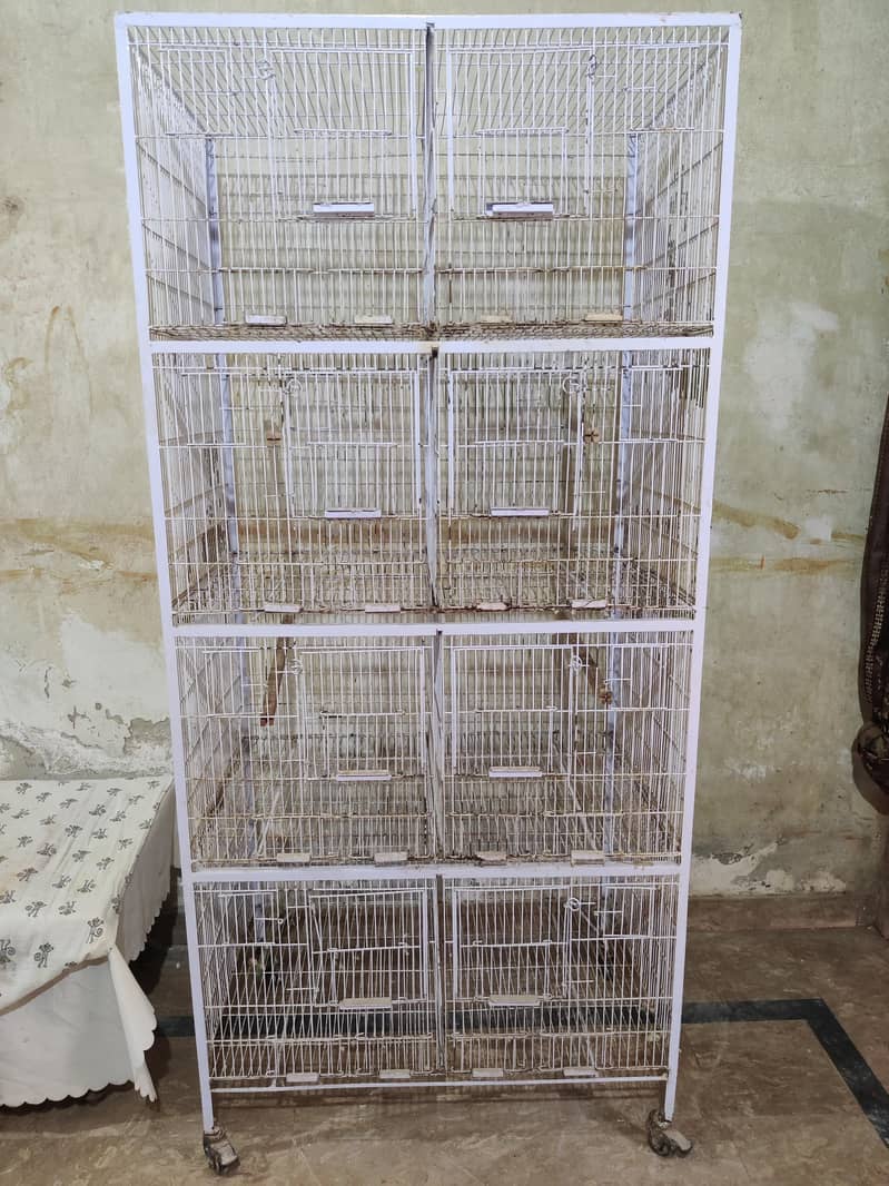 cage only and boxes 0