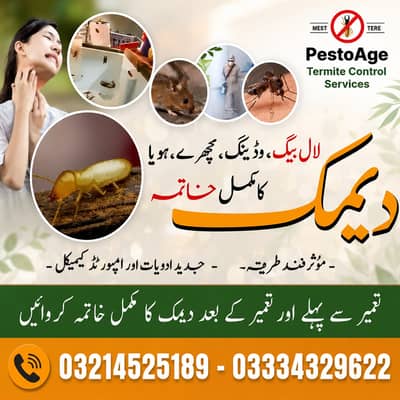 Dengue Spary/Termite Control/Deemak Control/Fumgation/Pest control