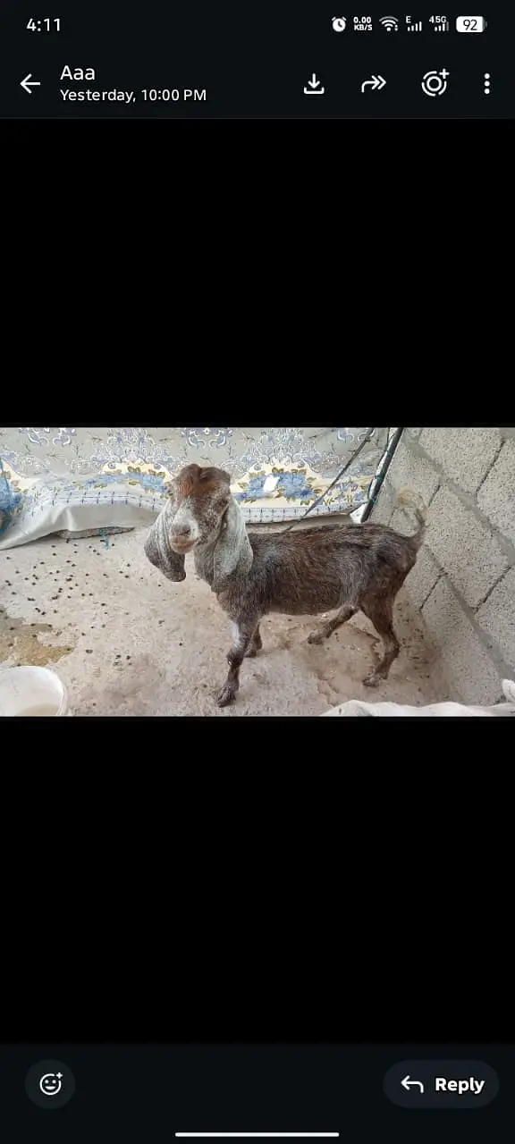 chota bcha male — photo 4