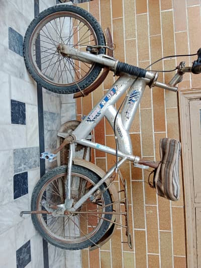 Elegant Bike