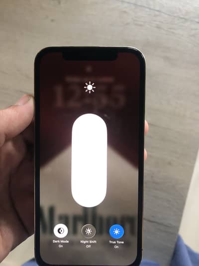 12 pro