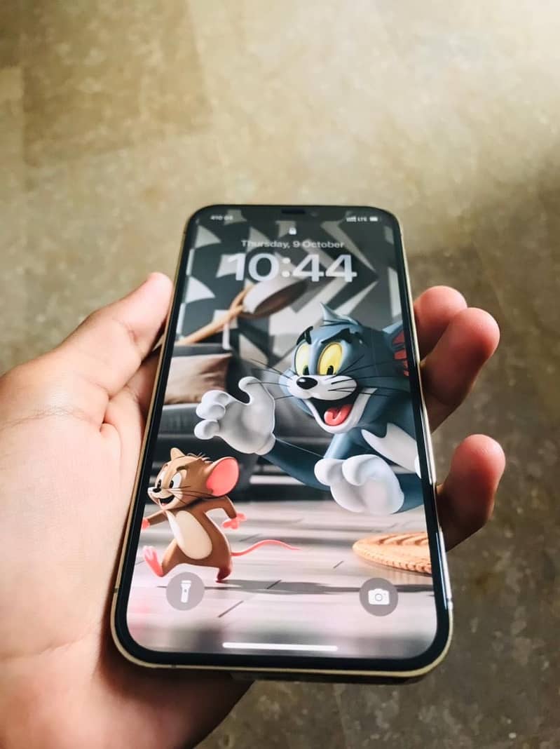 iPhone 12 pro 6