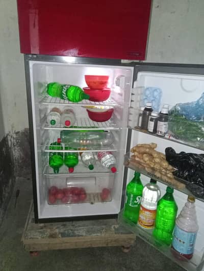 lash pash candition