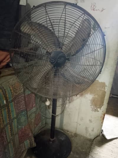 Pedestal fan