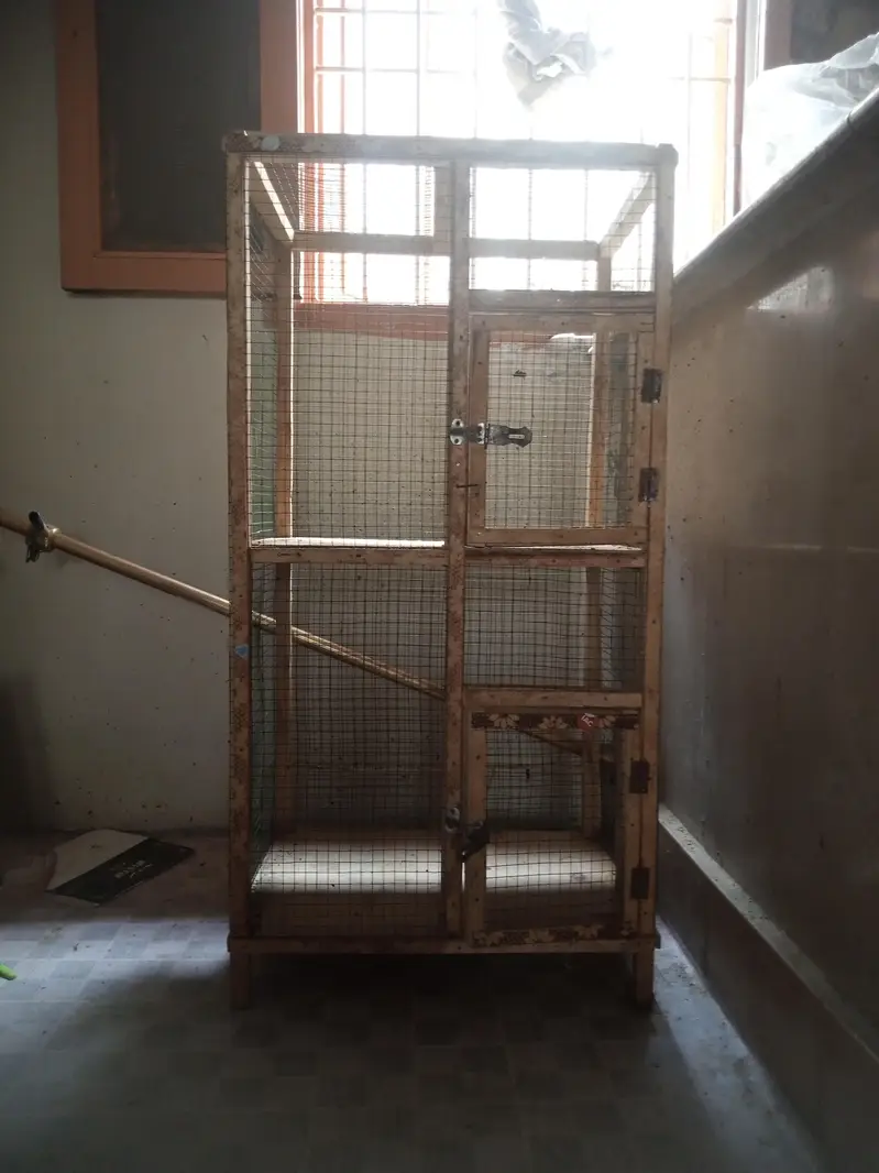 good quality urgent for sale — photo 2