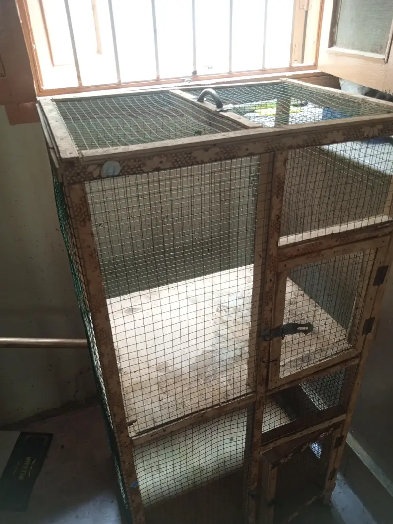 good quality urgent for sale — photo 3
