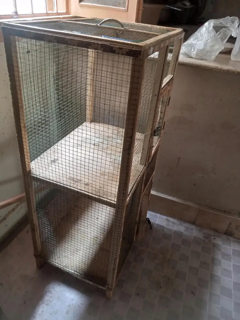 good quality urgent for sale — photo 4