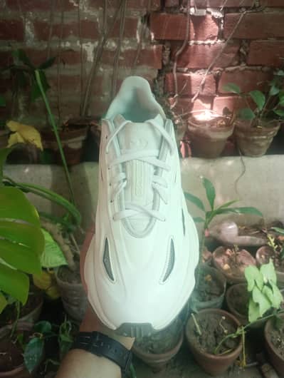 Adidas Ozweego Celox