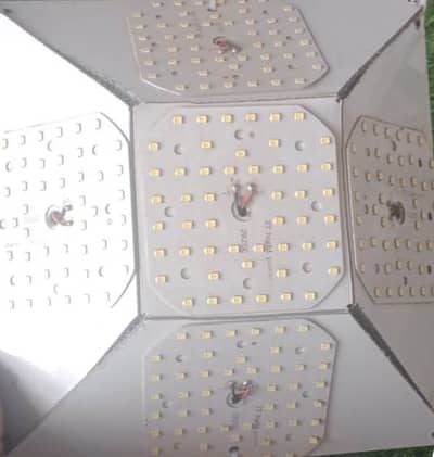 LED Lights