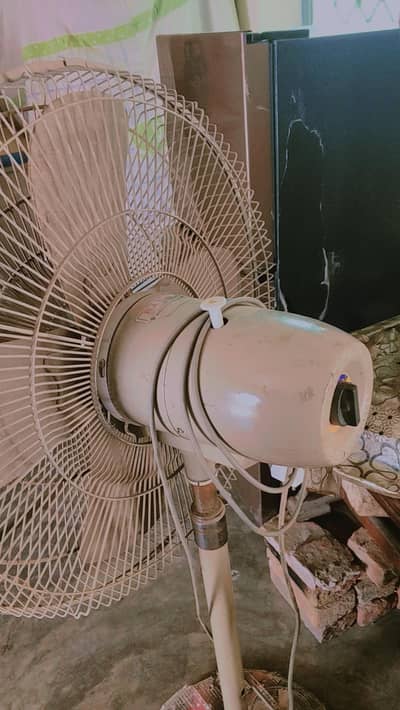 Rado fan