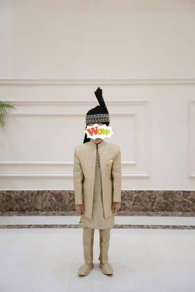 shyarvani for sale
