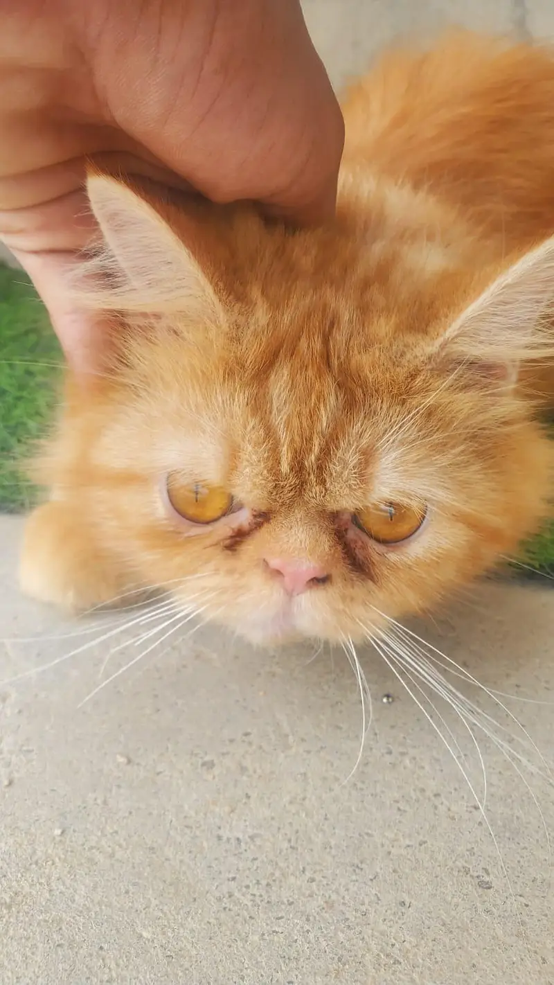 His name Pasha — photo 3
