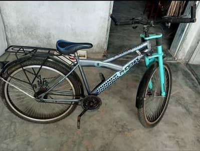 Cycle Phoenix cycle with disc brakes