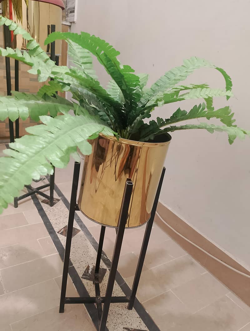 planters 2