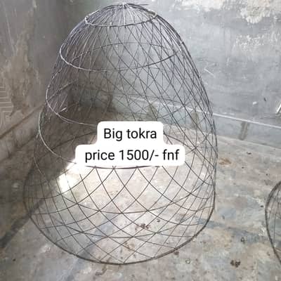 thai | Punes Pakyao |dargon |2  tokra  price : 2000 | cage | hens cage