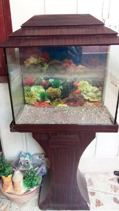 Aquarium