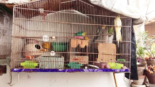 Cage for Sale