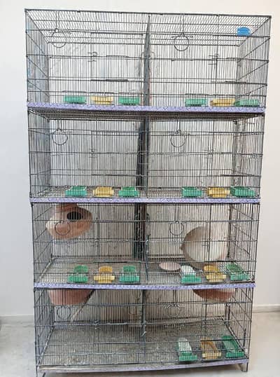 parrots cage