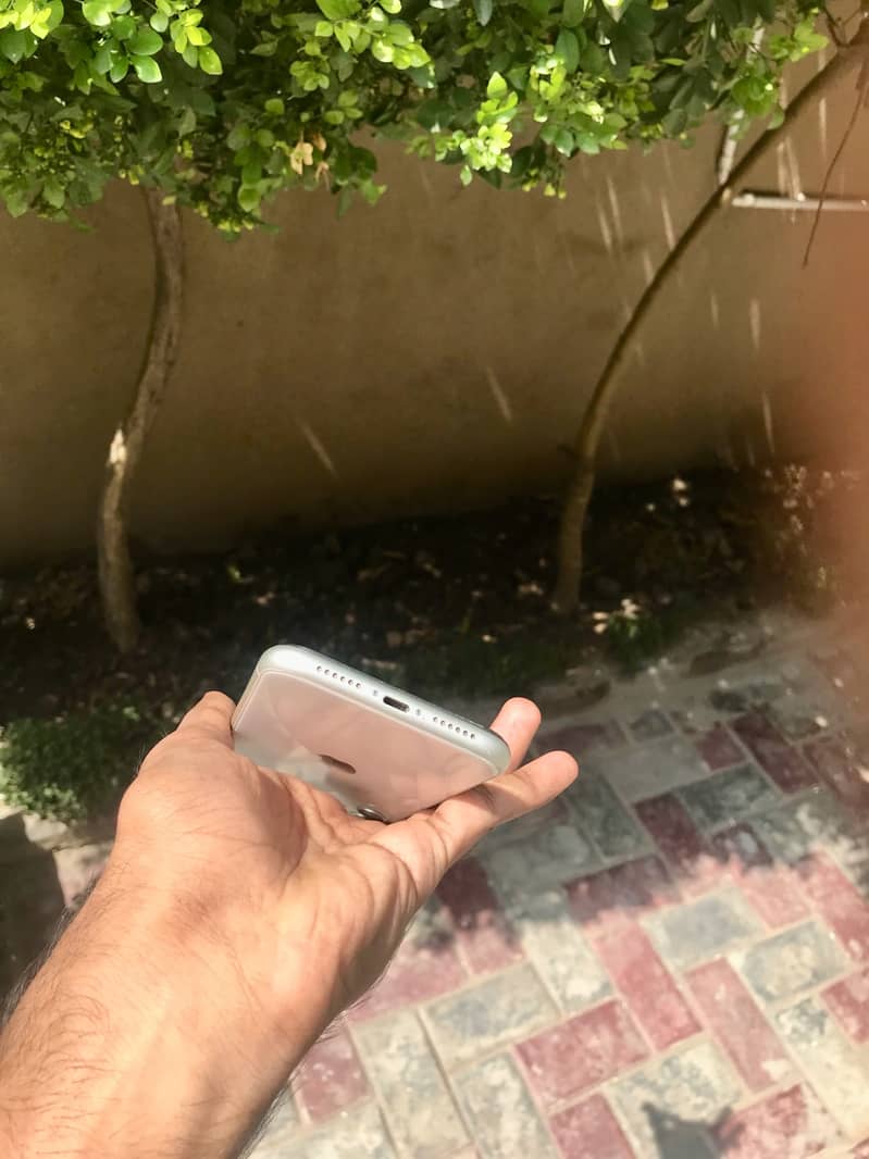 Apple iPhone 11 1