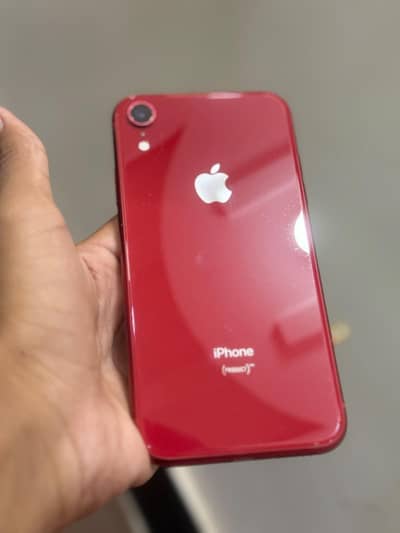 03195212208 XR 64 GB true to e face id active