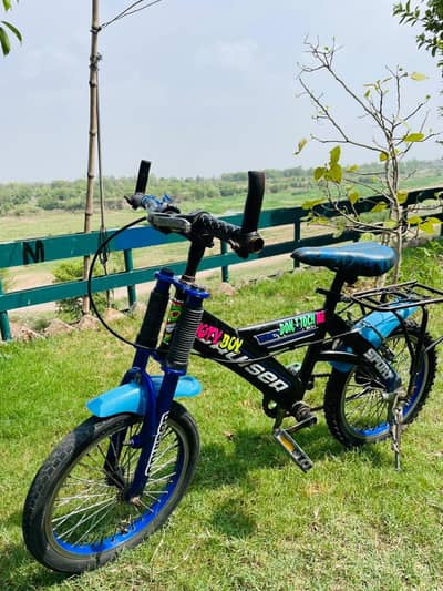 cycle for sale location Islamabad margalla town