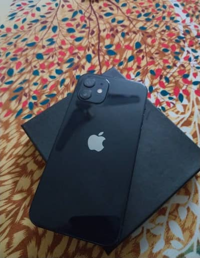 Apple iPhone 12