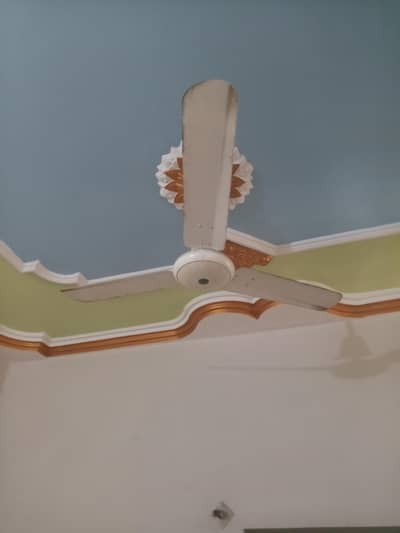 Pak Fan / Royal Fan (50W)